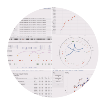 EpiSwitch Portal 3D genome analytics